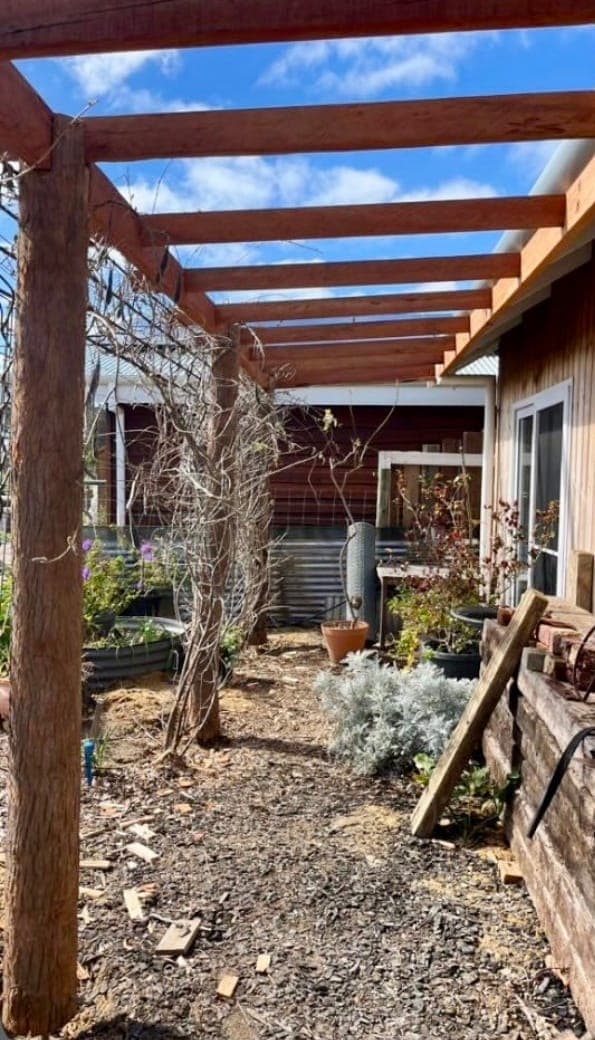 Hardwood rafters of a timber veranda against a blue sky